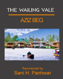 The Wailing Vale by Aziz Beg.pdf